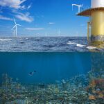 1% des investissements éoliens offshore pourraient restaurer des millions d'hectares de vie marine 1% des investissements éoliens offshore pourraient restaurer des millions d'hectares de vie marine