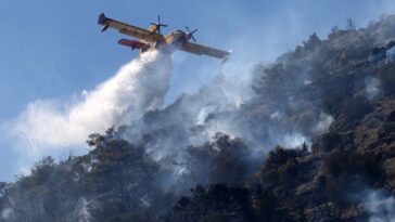 1500 décès dans la récente vague de chaleur européenne étaient dues au changement climatique