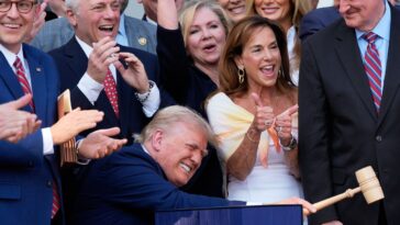 Devinez qui paie pour une partie de la «Big Beau Bill» du président Donald Trump?