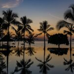 Après le chagrin et une crise de santé, notre correspondant royal a demandé le réconfort à Bali