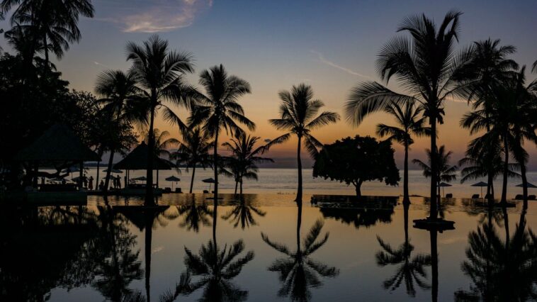 Après le chagrin et une crise de santé, notre correspondant royal a demandé le réconfort à Bali