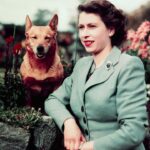 Une énorme exposition de la garde-robe de la reine Elizabeth arrive au palais de Buckingham