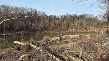 Aider une région à surmonter la dévastation de l'ouragan Helene