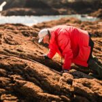 Alors, à quoi ressemblent les côtes mondiales en 2025? Les scientifiques revisitent les prévisions du début du siècle