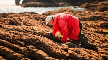 Alors, à quoi ressemblent les côtes mondiales en 2025? Les scientifiques revisitent les prévisions du début du siècle