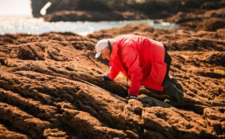 Alors, à quoi ressemblent les côtes mondiales en 2025? Les scientifiques revisitent les prévisions du début du siècle Alors, à quoi ressemblent les côtes mondiales en 2025? Les scientifiques revisitent les prévisions du début du siècle