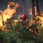 Batailles du Portugal pour contenir des incendies de forêt Batailles du Portugal pour contenir des incendies de forêt