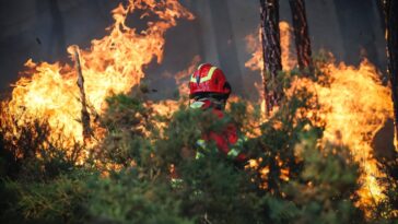 Batailles du Portugal pour contenir des incendies de forêt