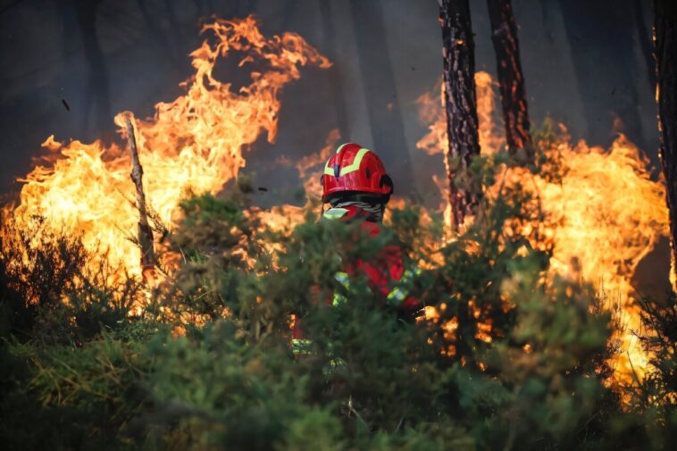 Batailles du Portugal pour contenir des incendies de forêt Batailles du Portugal pour contenir des incendies de forêt