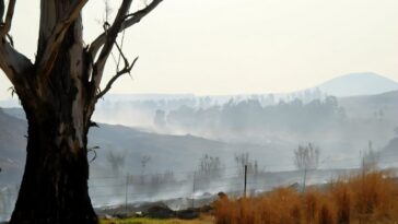 Berg Winds en Afrique du Sud: le modèle météorologique hivernal qui augmente les risques de feu de forêt