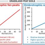 Bogs et fens surélevées: les coffres de carbone de la nature ont besoin de soins différents