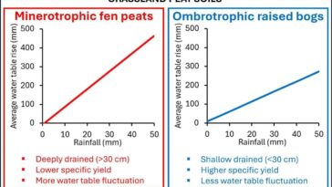 Bogs et fens surélevées: les coffres de carbone de la nature ont besoin de soins différents