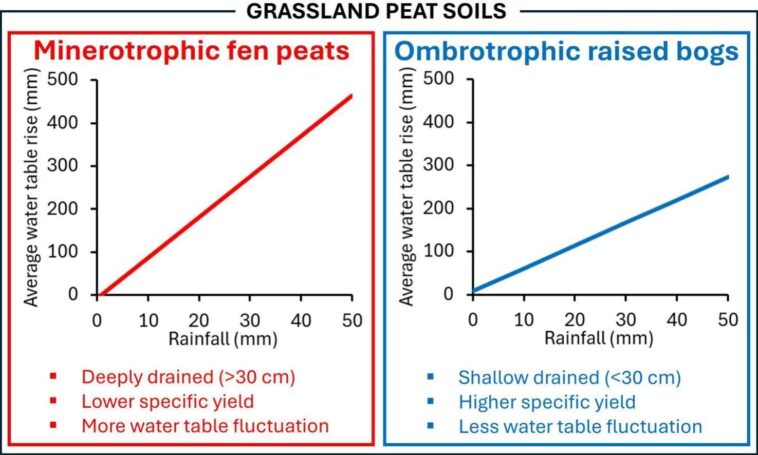 Bogs et fens surélevées: les coffres de carbone de la nature ont besoin de soins différents