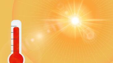 Ce que nous avons appris de la vague de chaleur record de 2021 et de ce que nous pouvons nous attendre à l'avenir