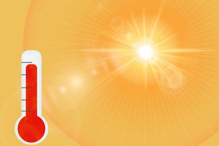 Ce que nous avons appris de la vague de chaleur record de 2021 et de ce que nous pouvons nous attendre à l'avenir