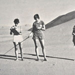 Ce scarabée du désert coule pour se rafraîchir 3 chercheurs sur une photo noire et qui