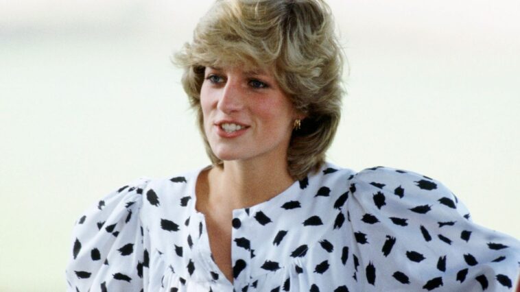 Charles Spencer partage la photo de l'enfance invisible de la princesse Diana Charles Spencer partage la photo de l'enfance invisible de la princesse Diana