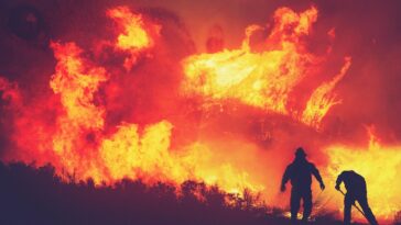 Combattre le feu avec l'innovation: une poussée paneuropéenne pour lutter contre les incendies de forêt extrêmes