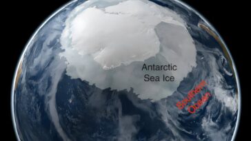 `` Complètement inattendu '': la glace de mer de l'Antarctique peut être en baisse terminale en raison de la hausse de la salinité de l'océan au sud