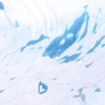 Croissance de la fonte de surface dans l'est de l'Antarctique signale de nouveaux risques pour le niveau mondial de la mer