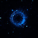 Un cercle bleu avec une structure à double coquille.