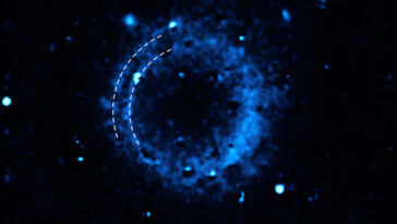 Un cercle bleu avec une structure à double coquille.