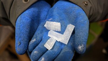 De l'Antarctique à Bruxelles, de chasse aux indices climatiques dans la vieille glace