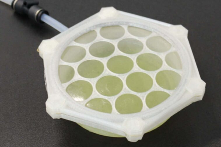 Des habitats bioplastiques sur Mars pourraient être construits à partir d'algues