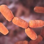 Des microbes étranges «inoffensifs» peuvent jouer un rôle central dans le cancer colorectal