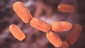 Des microbes étranges «inoffensifs» peuvent jouer un rôle central dans le cancer colorectal