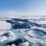 Frozen, mais pas scellé: l'océan Arctique est resté ouvert à la vie pendant les temps de glace, suggère l'étude Frozen, mais pas scellé: l'océan Arctique est resté ouvert à la vie pendant les temps de glace, suggère l'étude