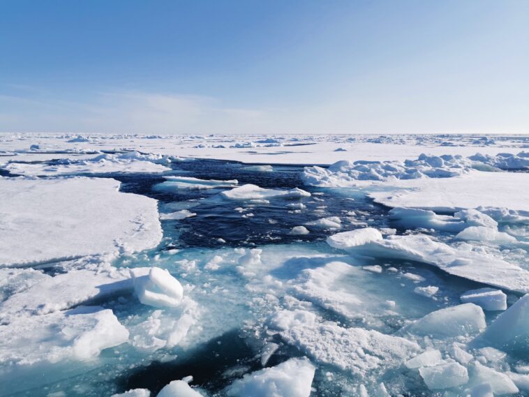 Frozen, mais pas scellé: l'océan Arctique est resté ouvert à la vie pendant les temps de glace, suggère l'étude