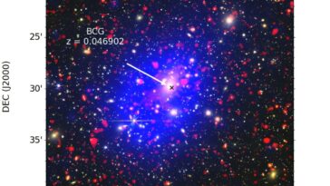 Galaxy Cluster Abell 3558 a un mini-halo particulier, suggèrent les observations