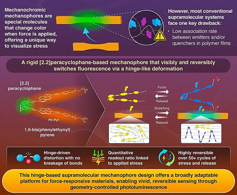 Glurant sous pression: Mécanophores de charnière pour les matériaux polymères plus intelligents Glurant sous pression: Mécanophores de charnière pour les matériaux polymères plus intelligents