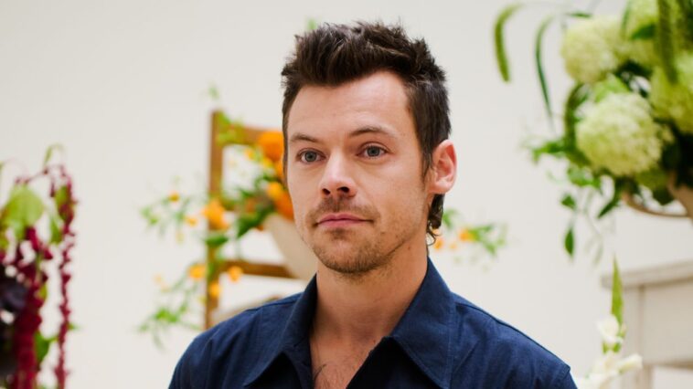 Harry Styles «aide» un parc parallèle des fans à Rome (spoiler: ça ne va pas très bien)