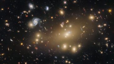 Hubble Snaps Portrait de Galaxy Cluster
