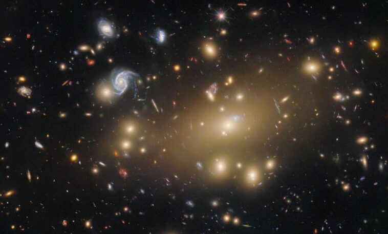 Hubble Snaps Portrait de Galaxy Cluster