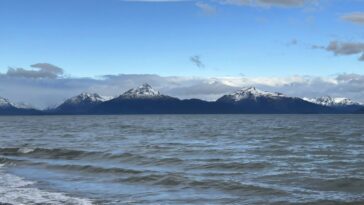 L'IA et la fibre optique révèlent des tremblements de terre cachés sous l'océan Pacifique