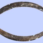 L'ancien boomerang à tuss de mammouths est deux fois plus vieux que nous le pensions