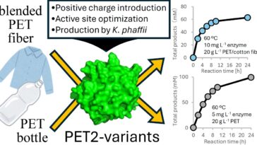 L'enzyme d'ingénierie recycle efficacement les bouteilles d'animaux et les fibres mélangées à des températures modérées