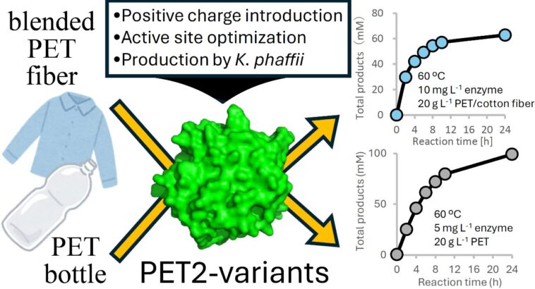 L'enzyme d'ingénierie recycle efficacement les bouteilles d'animaux et les fibres mélangées à des températures modérées