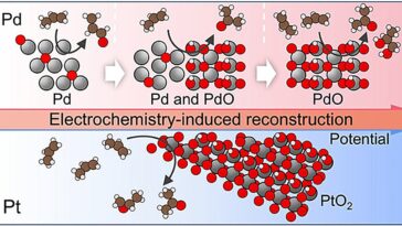 L'étude révèle comment les surfaces du catalyseur PD et PT contrôlent la production de produits chimiques