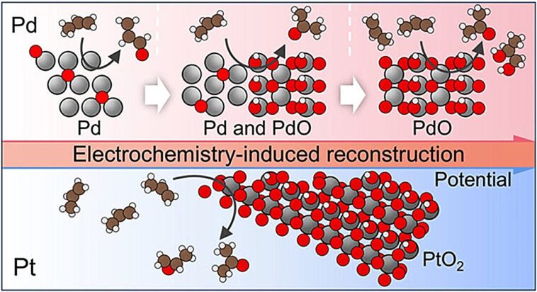 L'étude révèle comment les surfaces du catalyseur PD et PT contrôlent la production de produits chimiques