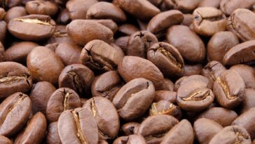 L'étude révèle une courbe de couleur universelle pour la torréfaction au café Arabica