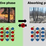 La caractéristique commune entre les incendies de forêt et les réseaux de neurones révèle un cadre universel La caractéristique commune entre les incendies de forêt et les réseaux de neurones révèle un cadre universel