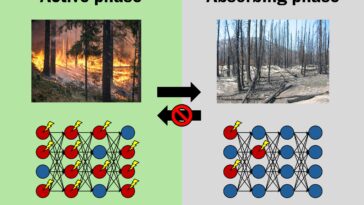 La caractéristique commune entre les incendies de forêt et les réseaux de neurones révèle un cadre universel