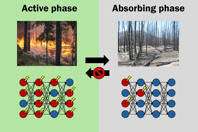 La caractéristique commune entre les incendies de forêt et les réseaux de neurones révèle un cadre universel La caractéristique commune entre les incendies de forêt et les réseaux de neurones révèle un cadre universel