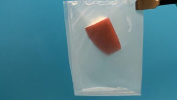 La conception inspirée des feuilles rend les bioplastiques dégradables, plus forts