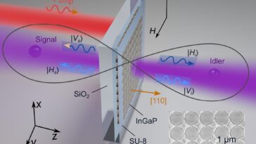La métasurface asymétrique permet un contrôle précis de l'enchevêtrement des photons