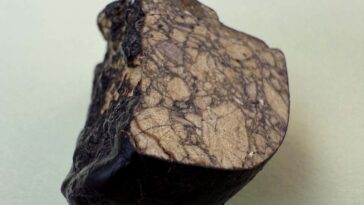 La météorite provoque la repensation de la façon et du moment où notre système solaire s'est formé